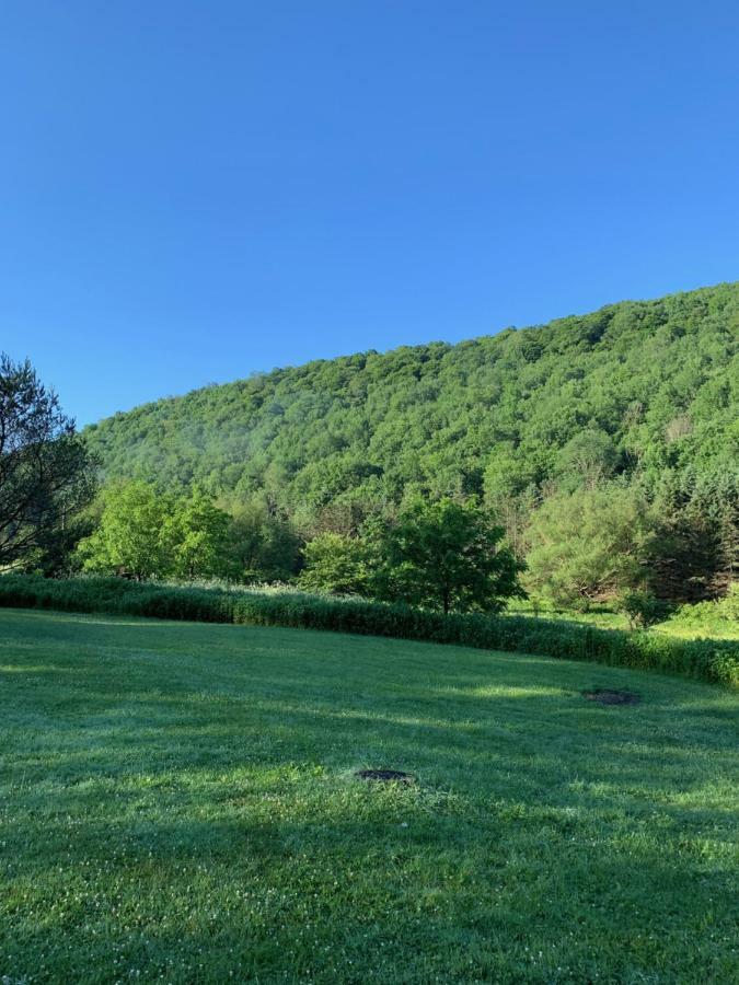 The Maples Apt - King Bed, Pet Friendly, Beautiful Views エリコットビル エクステリア 写真